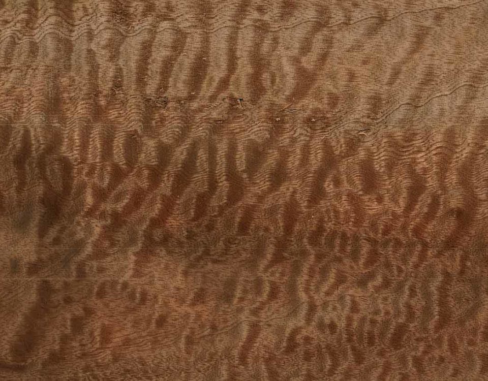 Quilted Sapele for Guitar